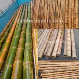 BAMBU O GUAYAQUILES DE 3.5" A 4" X 7MTS